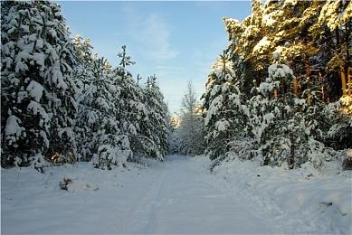 《星露谷物语》1.6更新全平台发布后 《恐怖巧克力工厂》将恢复开发